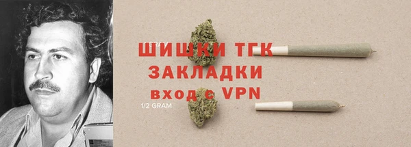 PSILOCYBIN Вязники
