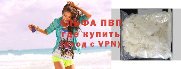 PSILOCYBIN Вязники
