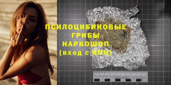 PSILOCYBIN Вязники