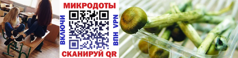 как найти наркотики  Находка  Псилоцибиновые грибы MAGIC MUSHROOMS 